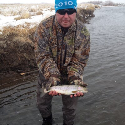 Profile Picture of Boyd Sutton (@BoydAk2) on Twitter