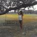 Profile Picture of Carrie Bledsoe (@anthonette37) on Pinterest