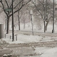 Profile Picture of Ariel Feliciano (@ariel-feliciano-3) on Quora