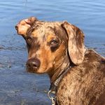 Profile Picture of Michael George Stegmann (@africanpropertyroutes1) on Instagram