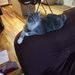 Profile Picture of Brianne Muto (@briannemuto) on Pinterest