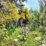 Profile Picture of Radu Mitrache (@r.a_d.u) on Instagram