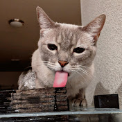 Profile Picture of Ryan Markowski (@rtmski) on Youtube