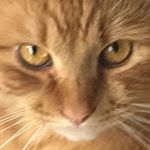 Max Keanu Charles Kevin Berry - Instagram Profile Picture of Max Keanu Charles Kevin Berry (@littleloid69) on Instagram