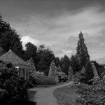 Profile Picture of Marshall (@sladerohrbach58) on Instagram