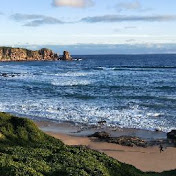 Socola - Youtube Profile Picture of Socola (@socola7690) on Youtube