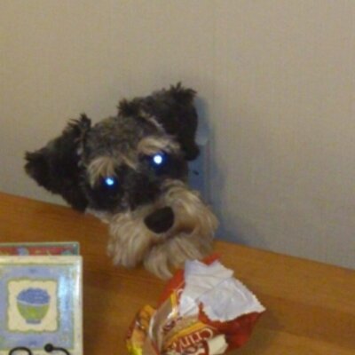 Profile Picture of Matthew Peachey (@matthewpeachey) on Twitter