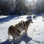 Profile Picture of Nancy Généreux (@genereuxnancy) on Instagram