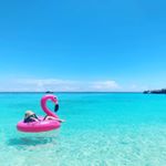 Profile Picture of 배정아 (@jjung__lovely) on Instagram