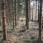 Jacob Roed Thomsen 🇩🇰 - Instagram Profile Picture of Jacob Roed Thomsen 🇩🇰 (@jacobroedthomsen) on Instagram