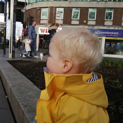 Profile Picture of Dan Harrington (@DanJHarrington) on Twitter