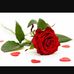 Profile Picture of Jan Dilber (@jan.dilber.92) on Facebook