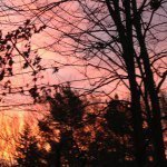 Profile Picture of Cathy (@cathyhirt) on Instagram