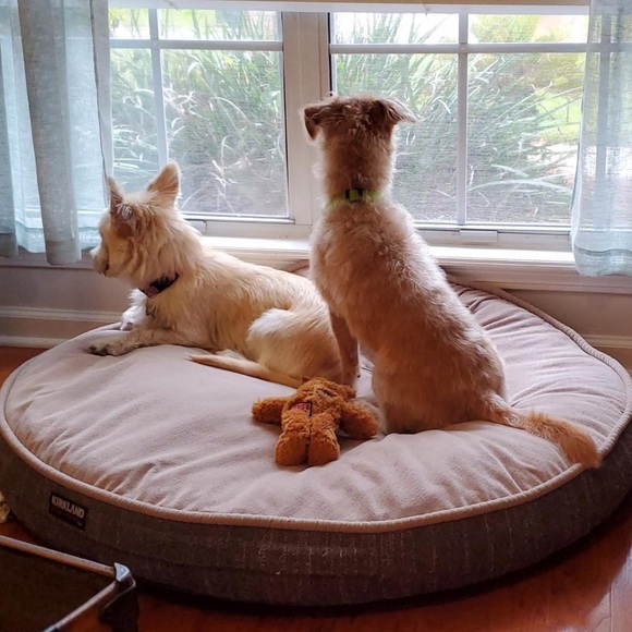 Profile Picture of Suscia Bathgate (@aspenlove118) on Poshmark