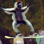 Profile Picture of Steve Davey (@davey_san) on Instagram