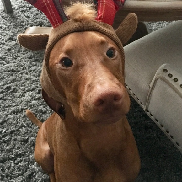 Profile Picture of Lindsay Case (@lacp6d) on Poshmark