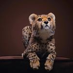 Profile Picture of #ديمه_الهلال💙💭 (@deemh.mansour) on Instagram