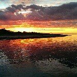 Profile Picture of Robert Rayner (@ragsrayner) on Instagram