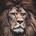 Profile Picture of Jason MacDonald (@jaymac185) on Instagram