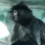 Profile Picture of Scott Seipel (@_scott_seipel) on Instagram