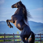 Profile Picture of Gary Ortiz (@garyortiz8480) on Youtube