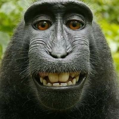 Profile Picture of Men Gay ( Greg) (@GregoryHody) on Twitter