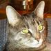 Profile Picture of Ray McFall Jr. (@ray.j.mcfall) on Facebook