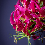 Profile Picture of Preesman Design (@https://www.facebook.com/preesmandesign) on Flickr
