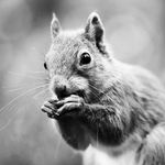 Profile Picture of Jen Rowland (@jenrowlandphotos) on Instagram