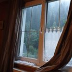 Profile Picture of Daniel Herrmann (@herrdaniel.2208) on Instagram