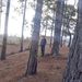 Profile Picture of Luis Alfredo Arrazabal Chicas (@arrazabalchicas) on Pinterest