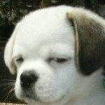 Profile Picture of 庄伟平 (@jasonstanson) on Instagram