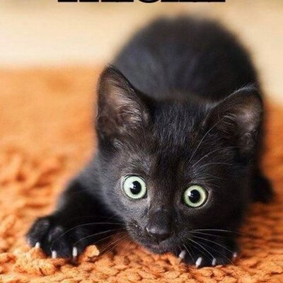 Profile Picture of Kristal Summers (@@Kristalxsummers) on Twitter