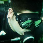 Profile Picture of Engine No. 9 (@jim_logan_) on Instagram