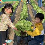 Rika Mizoguchi - Instagram Profile Picture of Rika Mizoguchi (@rika_mizoguchi) on Instagram