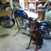 Profile Picture of David Fesmire (@david.fesmire.52) on Facebook