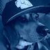 Profile Picture of Nathan Struewe (@nathan.struewe) on Facebook