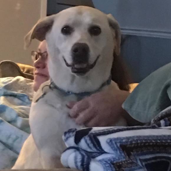 Profile Picture of Jonathan Carl (@jdthescot) on Poshmark