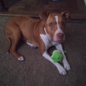 Profile Picture of cliftonmanning290 (@cliftonmanning290) on Tiktok