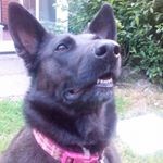 Profile Picture of Paula Broad (@paula.brinn.1) on Instagram