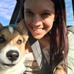 Kelly Markham💜🐱⭐♊☆♡♧♡ - Instagram Profile Picture of Kelly Markham💜🐱⭐♊☆♡♧♡ (@kellykels06) on Instagram