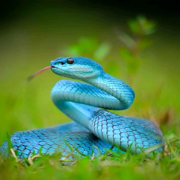 Profile Picture of Jimmy Mcdougal (@fanatic54) on Tiktok