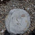 Profile Picture of Kevin Arruda (@kevin.arruda.3) on Instagram