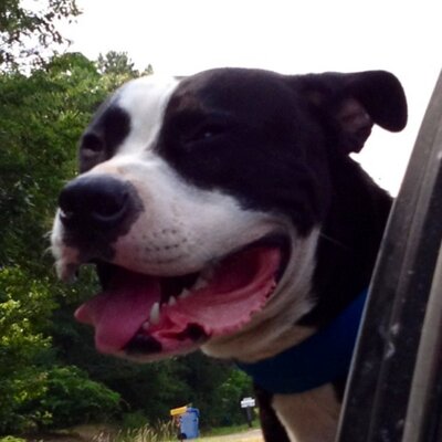 Profile Picture of Daniel Loden (@DanielLoden) on Twitter