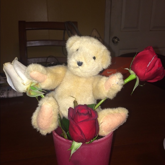 Profile Picture of Leighann Phillips (@butterflymama81) on Poshmark