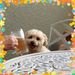 Profile Picture of maria plummer (@mariaplummer74) on Pinterest