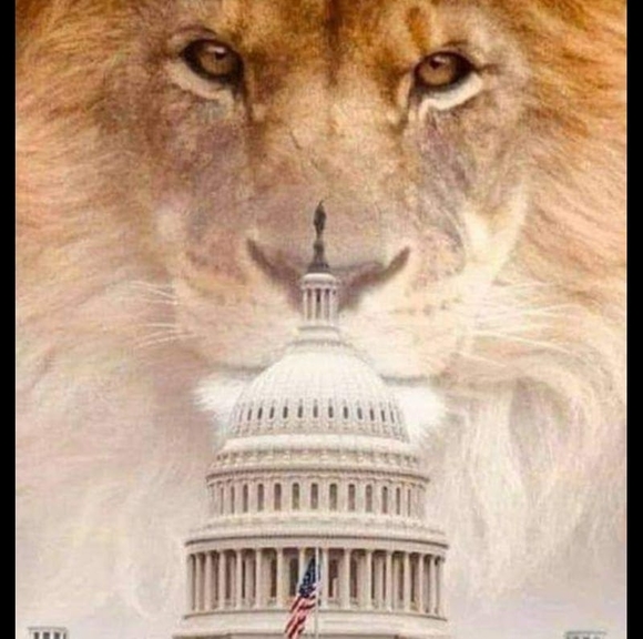 Profile Picture of Shauna Petersen (@shajap13) on Poshmark