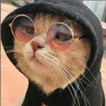 Profile Picture of jason (@jason.moradii) on Instagram