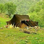 Profile Picture of Hassan.mohamadyan (@hassan.mohamadya) on Instagram