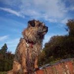 Profile Picture of Bruce Pullen (@brucepullen3740) on Pinterest